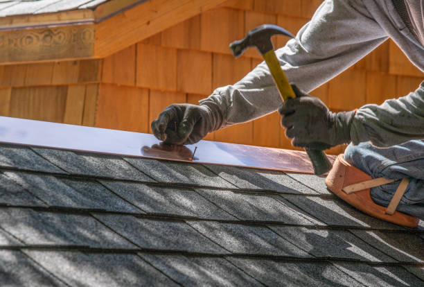 Best Roof Ventilation Installation  in Noel, MO