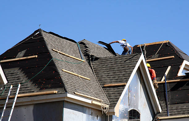 Best Storm Damage Roof Repair  in Noel, MO